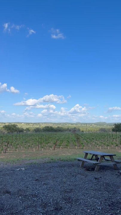 Covington Cellars - View of the lovely property - Wine Tasting Room Near Me - Hye, Texas