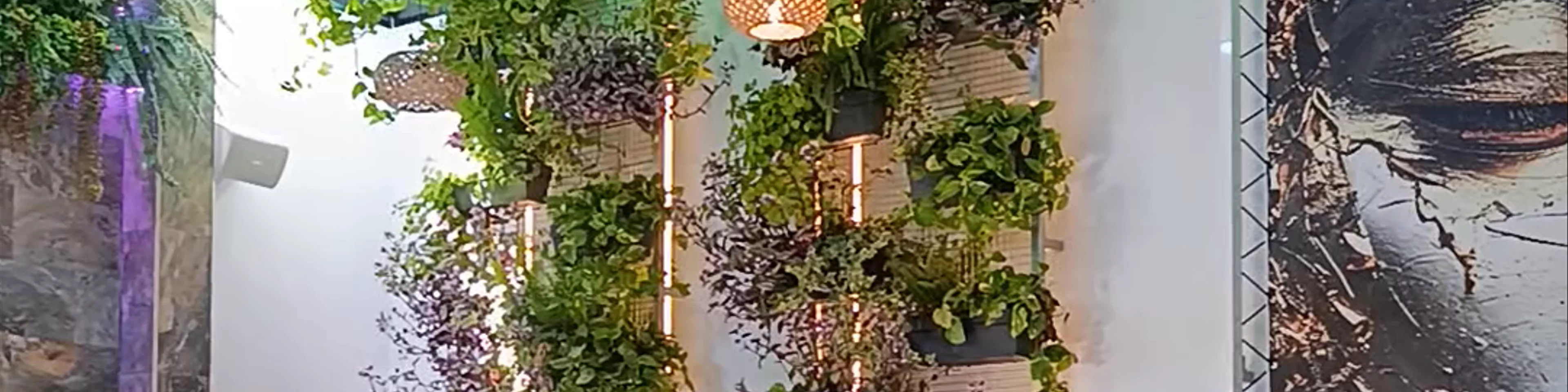 ArrozyArte | Restaurante & Arroceria