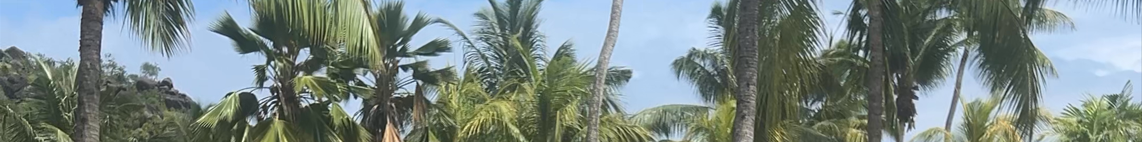 Tours & experiences in Baie Sainte Anne
