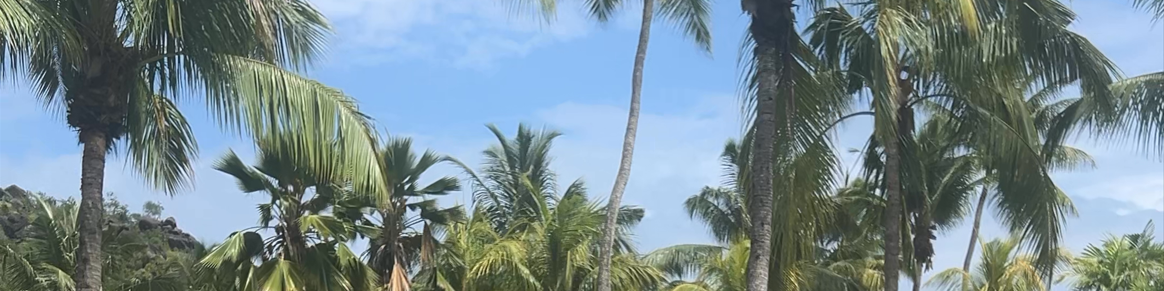 Paradise Sun Hotel