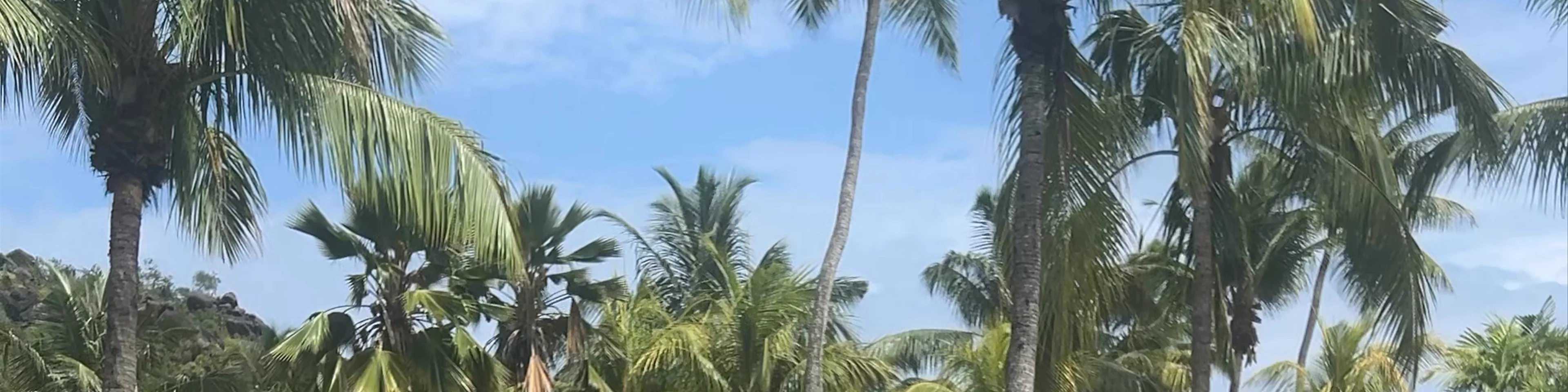 Paradise Sun Hotel
