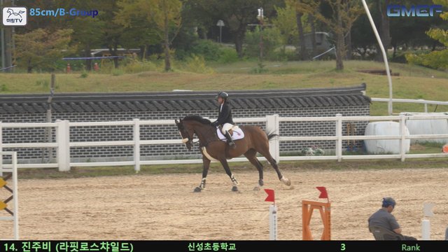 진주비 (라핏로스챠일드) — 2026 경북오픈 구미 Show Jumping · 장애물 85cm