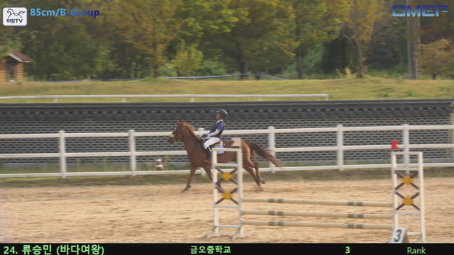 류승민 (바다여왕) — 2026 경북오픈 구미 Show Jumping · 장애물 85cm