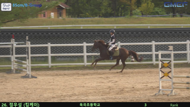 정우성1 (청초호) — 2026 경북오픈 구미 Show Jumping · 장애물 85cm