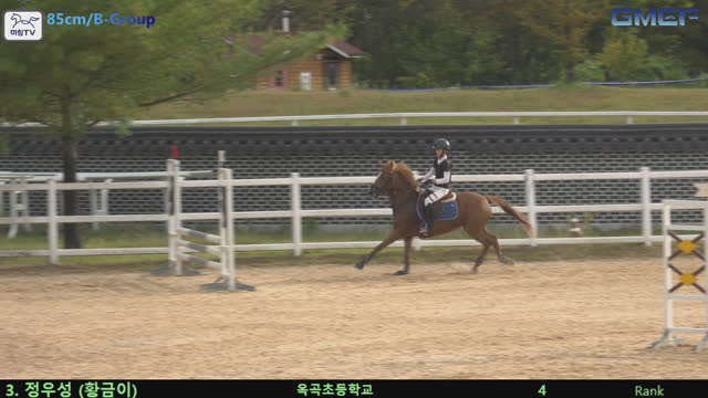 정우성1 (황금제왕) — 2026 경북오픈 구미 Show Jumping · 장애물 85cm