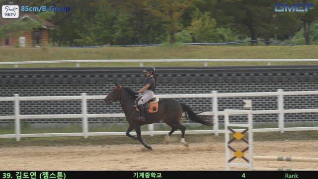 김도연9 (엄지) — 2026 경북오픈 구미 Show Jumping · 장애물 85cm