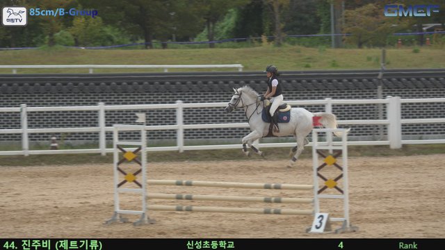 진주비 (제트기류) — 2026 경북오픈 구미 Show Jumping · 장애물 85cm