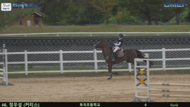 정우성1 (커티스) — 2026 경북오픈 구미 Show Jumping · 장애물 85cm