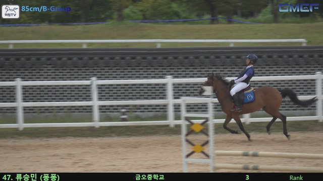 류승민 (풍악산) — 2026 경북오픈 구미 Show Jumping · 장애물 85cm