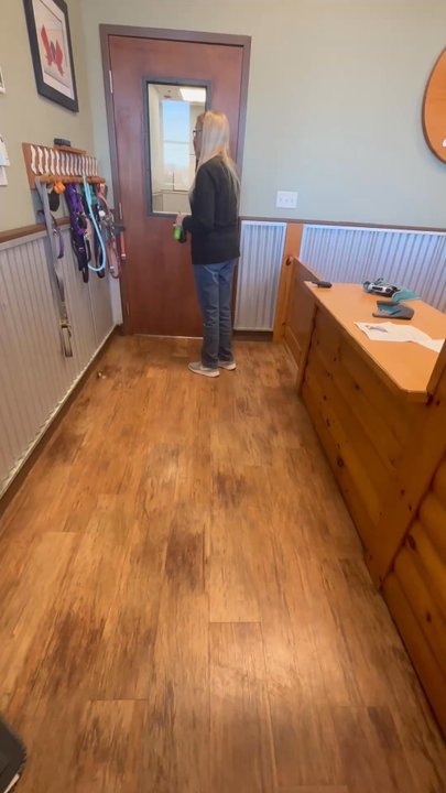 Camp Bow Wow Plano - Love how organized they are! Pick up and drop off is always quick and easy yet professionally handled. - Pet Groomers Near Me - Plano, Texas