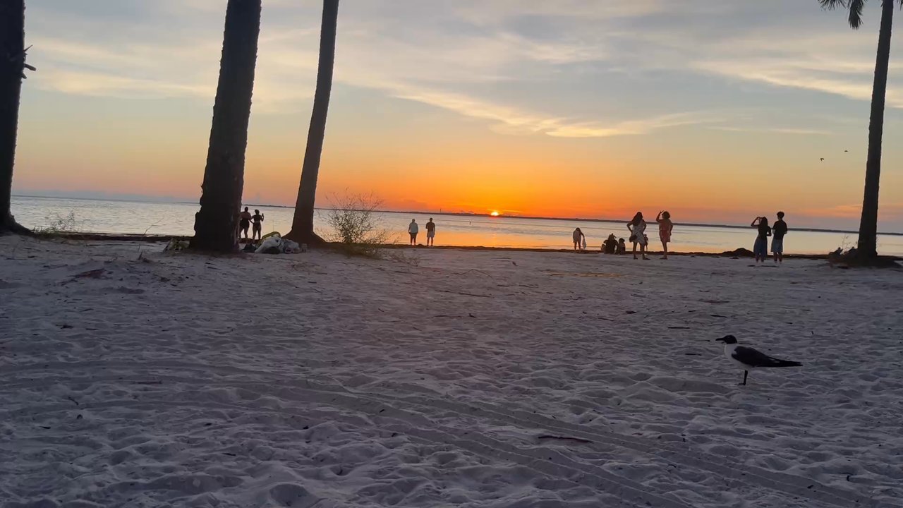 Video thumbnail 6 more videos