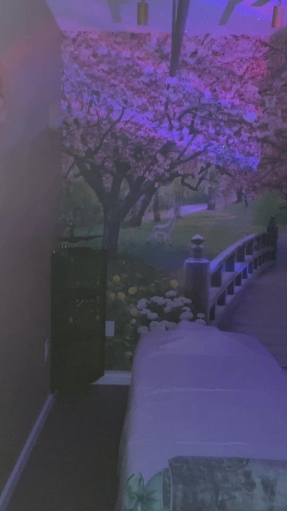 Spring Breeze Spa - Massage Near Me - Flushing, New York