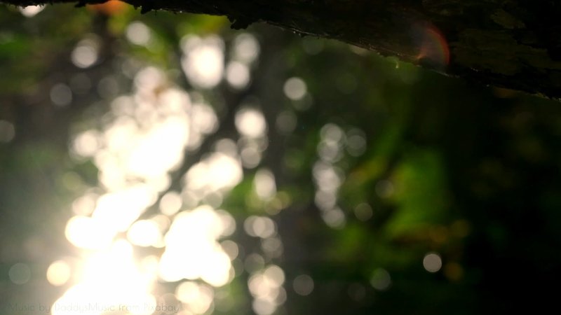 Costa Rica Diaries — Toca Cielo del Caribe