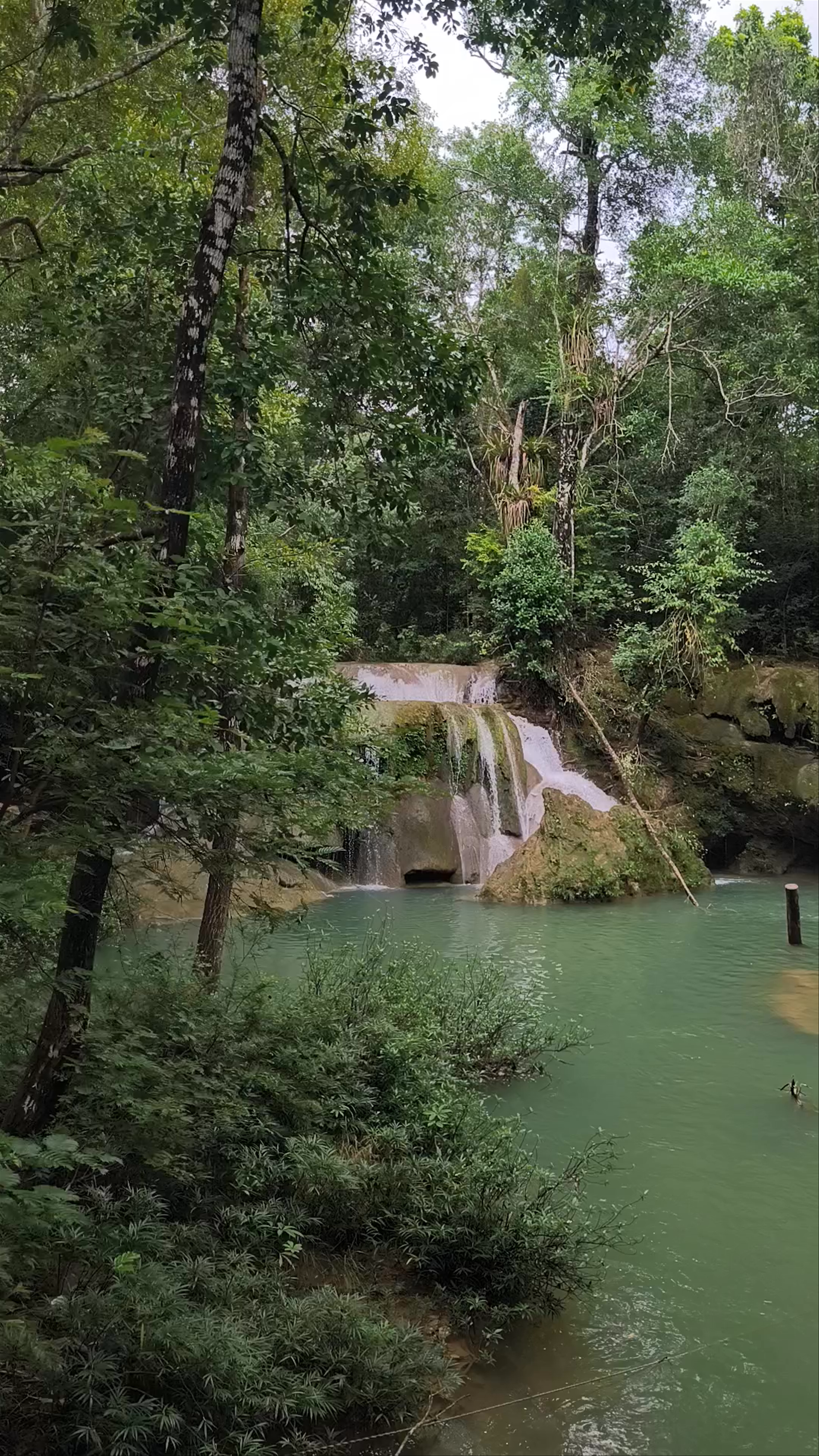Enchanting Waterfalls of Laguna Roberto Barrios in Chiapas, Mexico