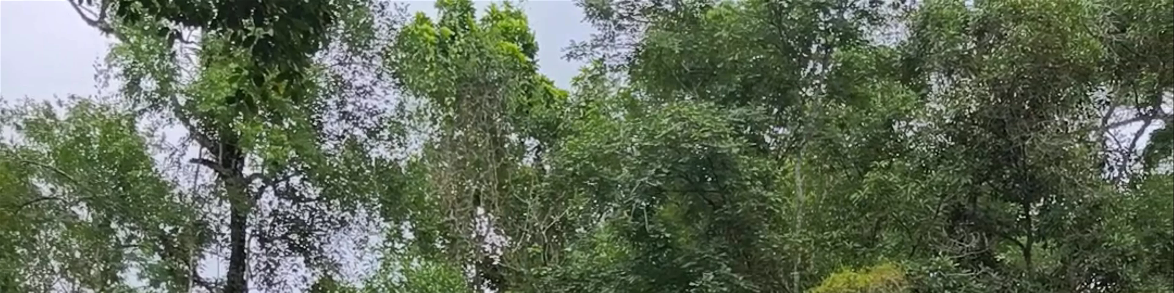 Laguna Roberto barrios