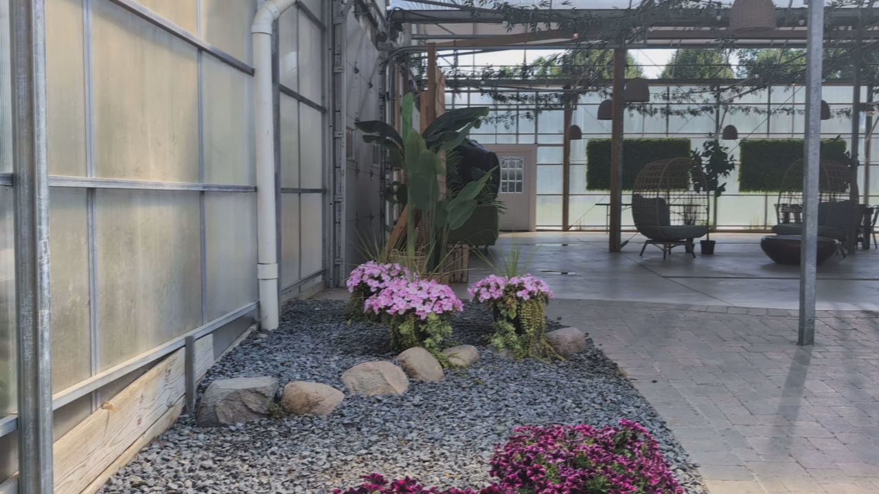 Blake's Backyard - Greenhouse area. - Fruits & Veggies Near Me - Almont, Michigan