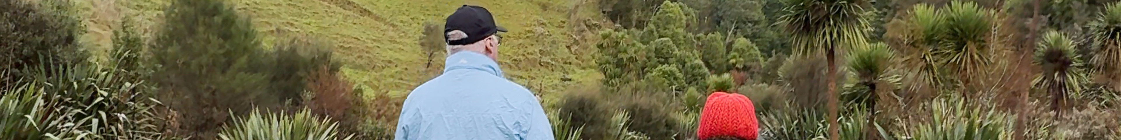 Tours & experiences in Putaruru