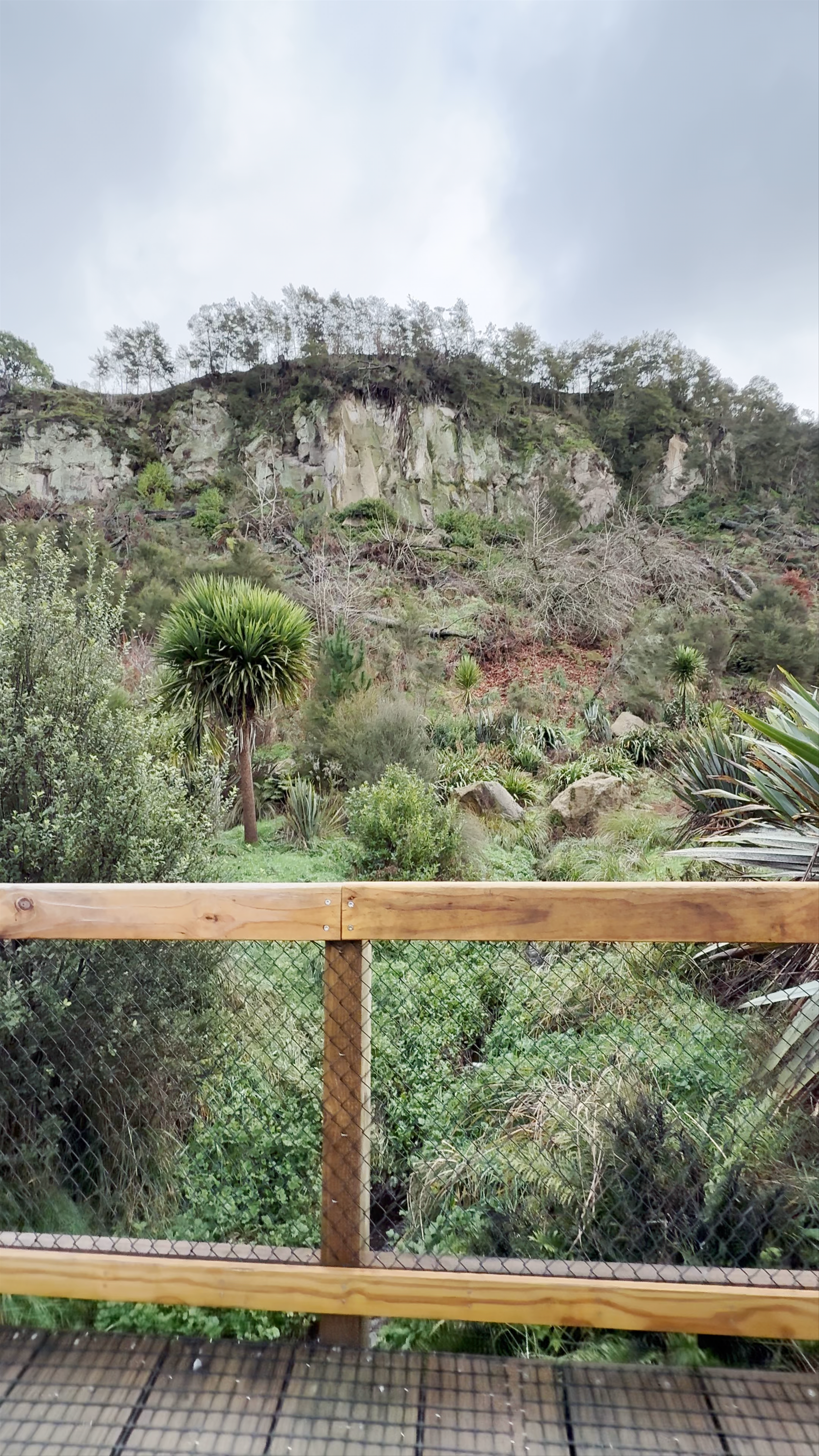 Blue Spring Leslie Road