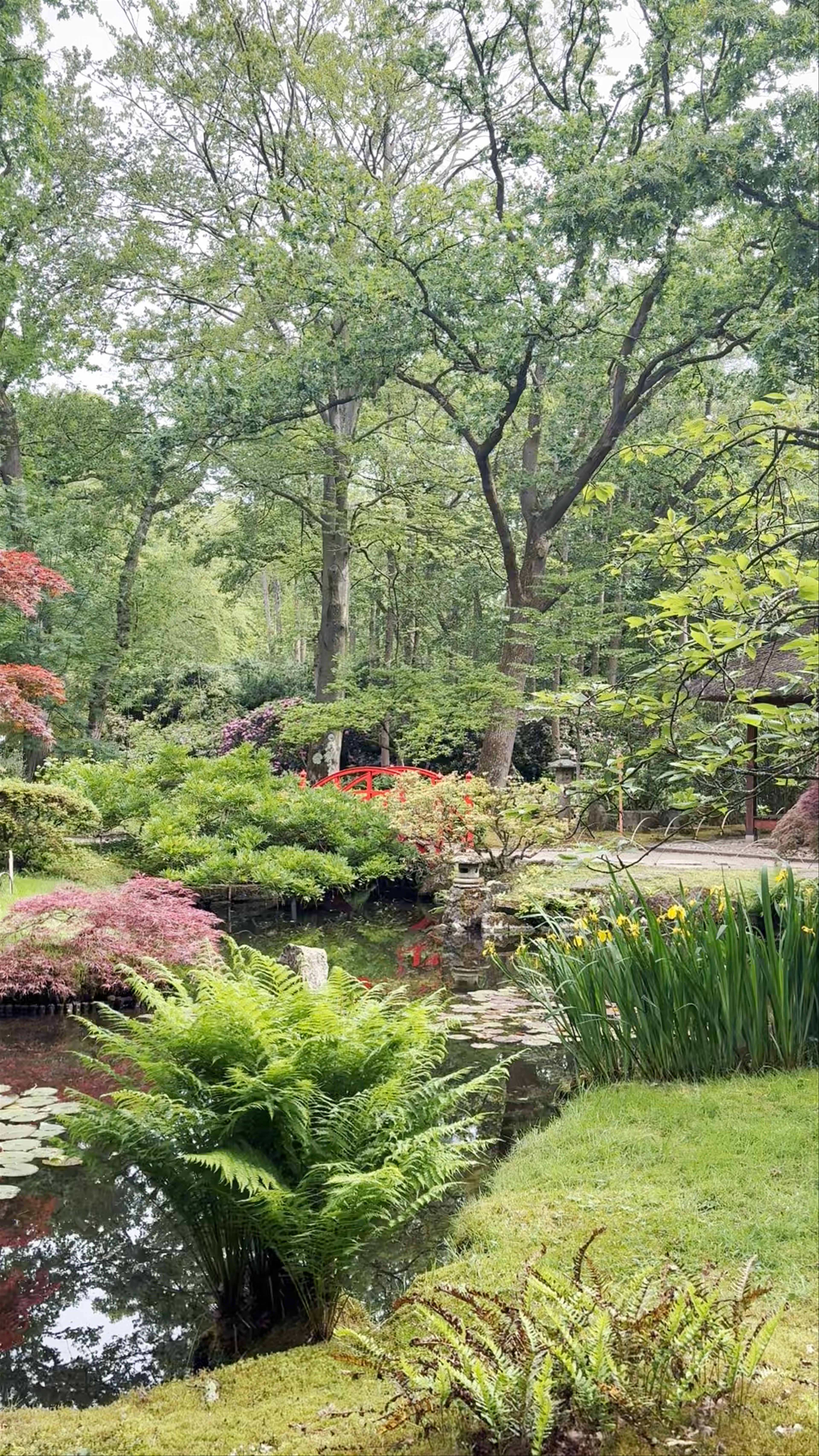 Japanese Garden