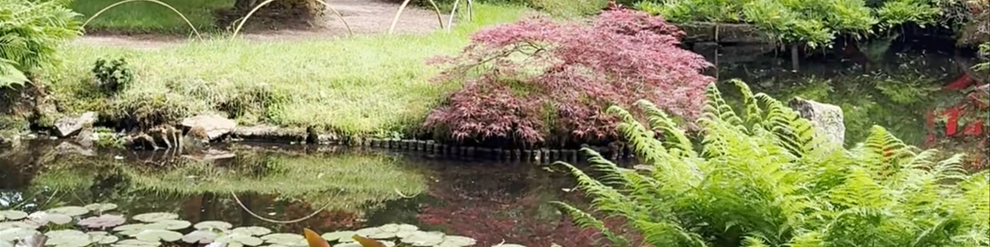 Japanese Garden