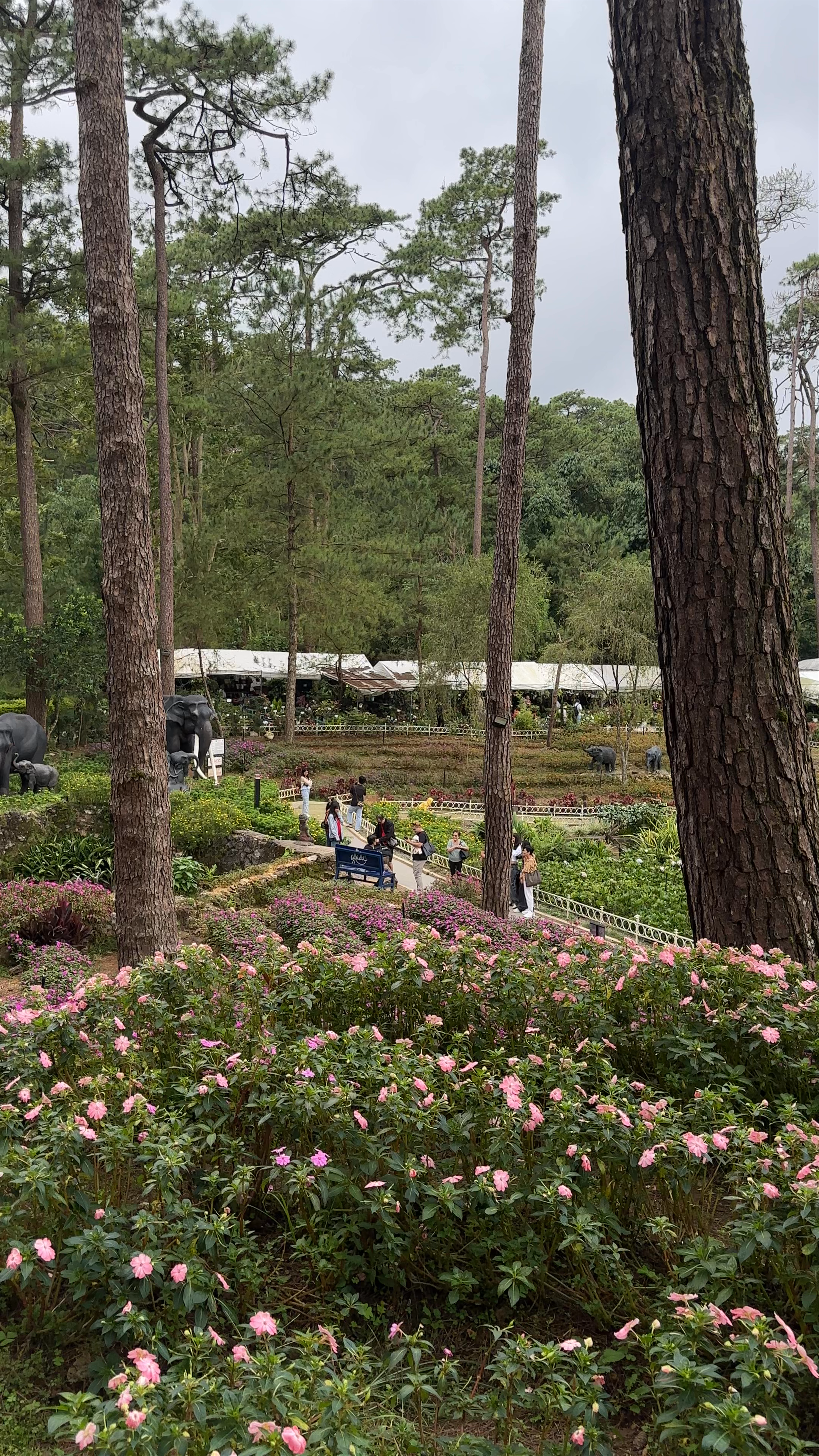 Baguio Botanical Garden