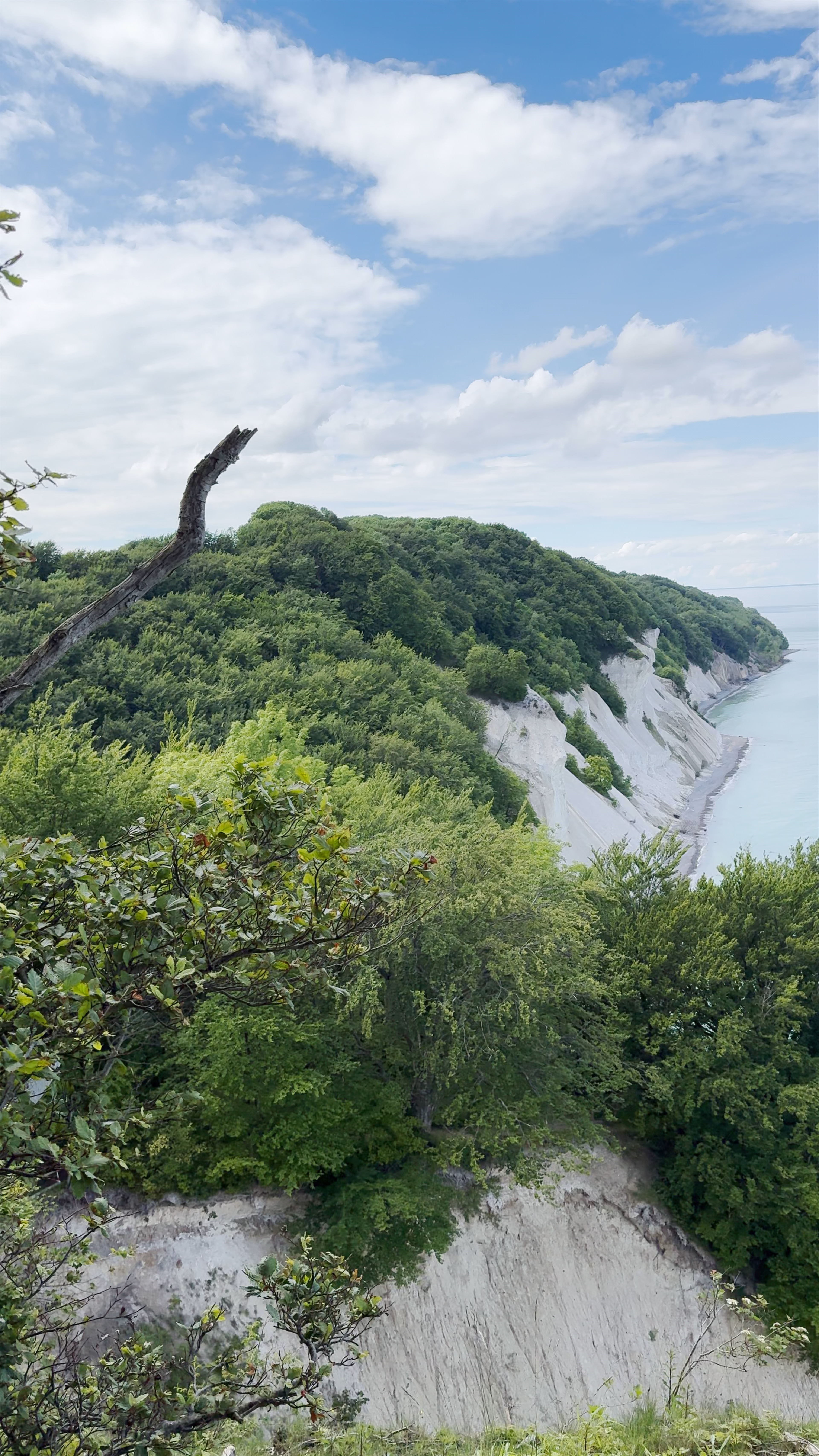 Møns Klint