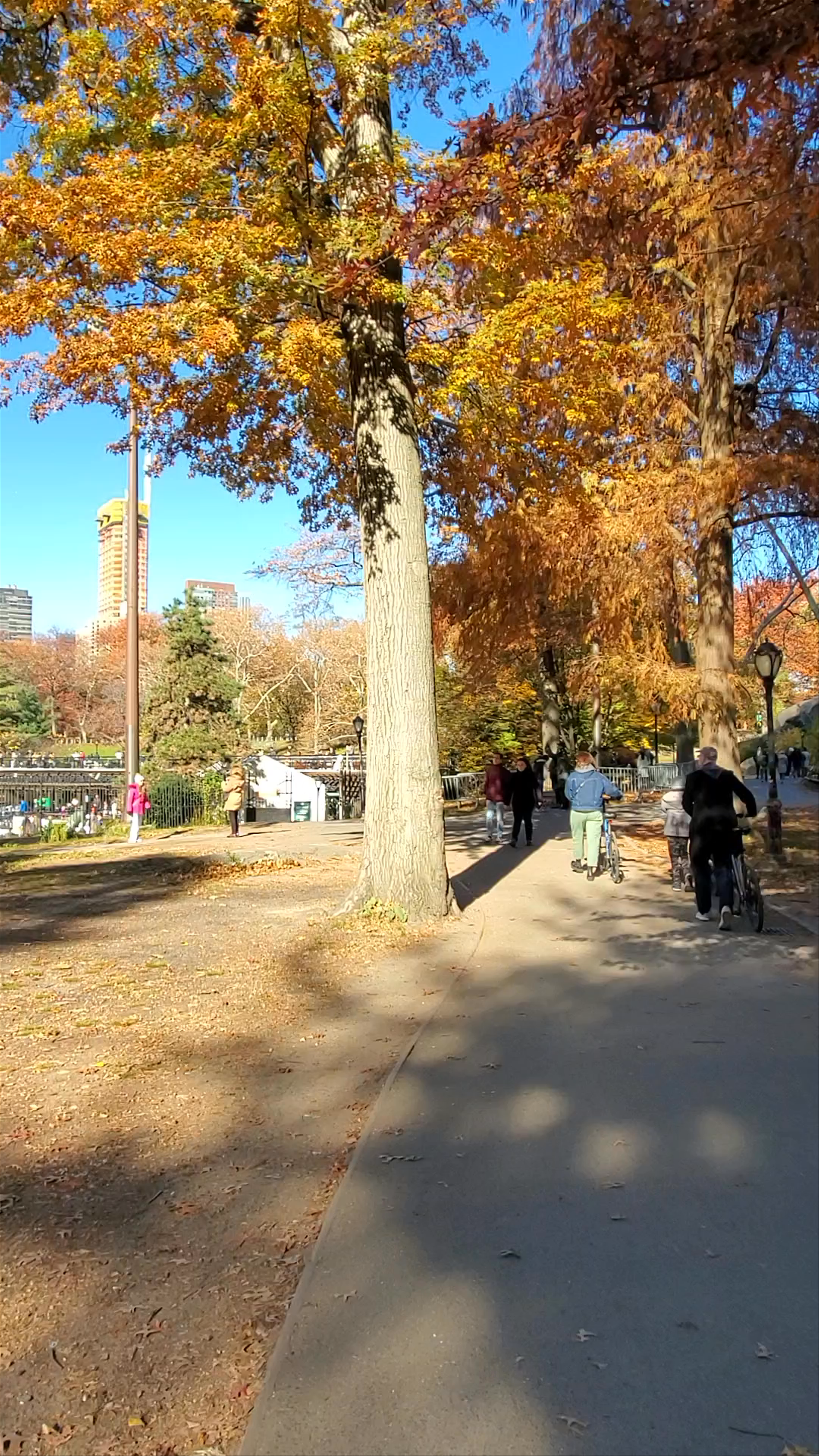 Autumn Serenity and Urban Escape at Central Park, New York