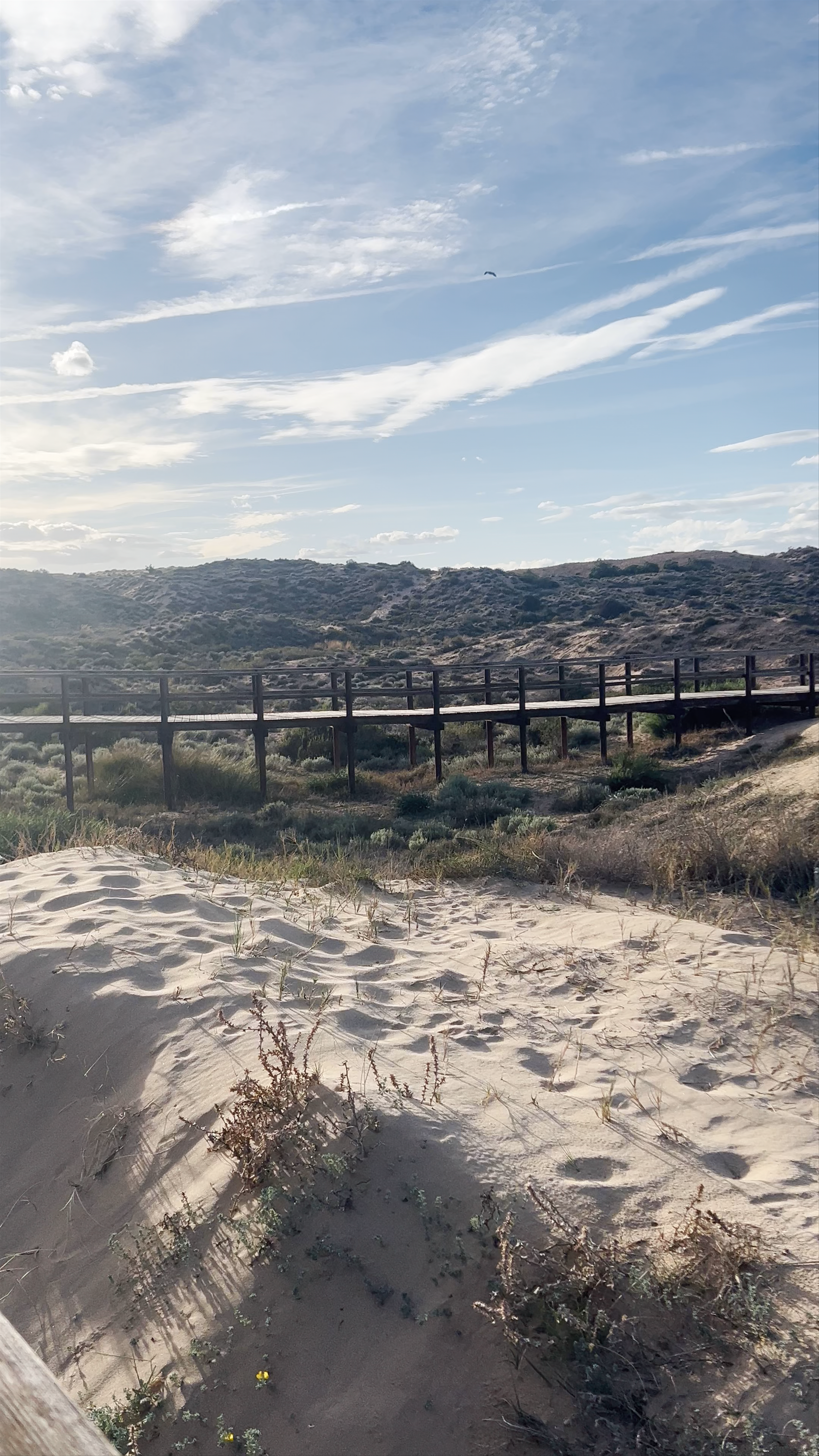 Dunas del Carabassí