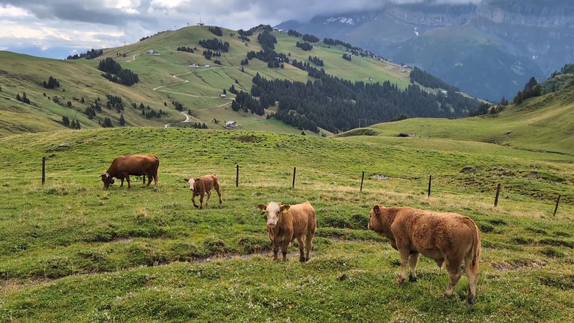 GR 5 Part 1 - Day 4 photo 4