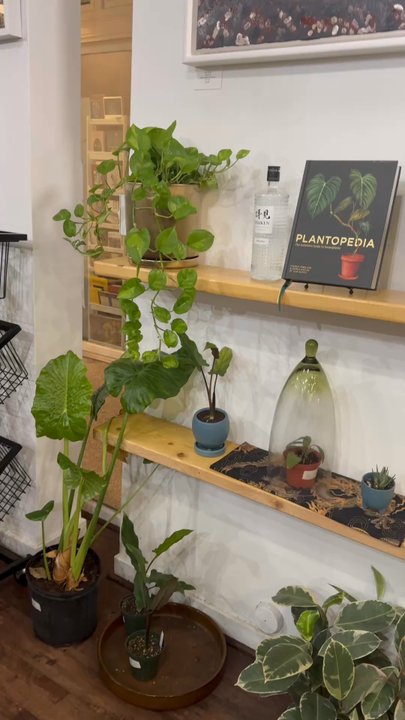 Stem and Vine - Nurseries & Gardening Near Me - Baltimore, Maryland