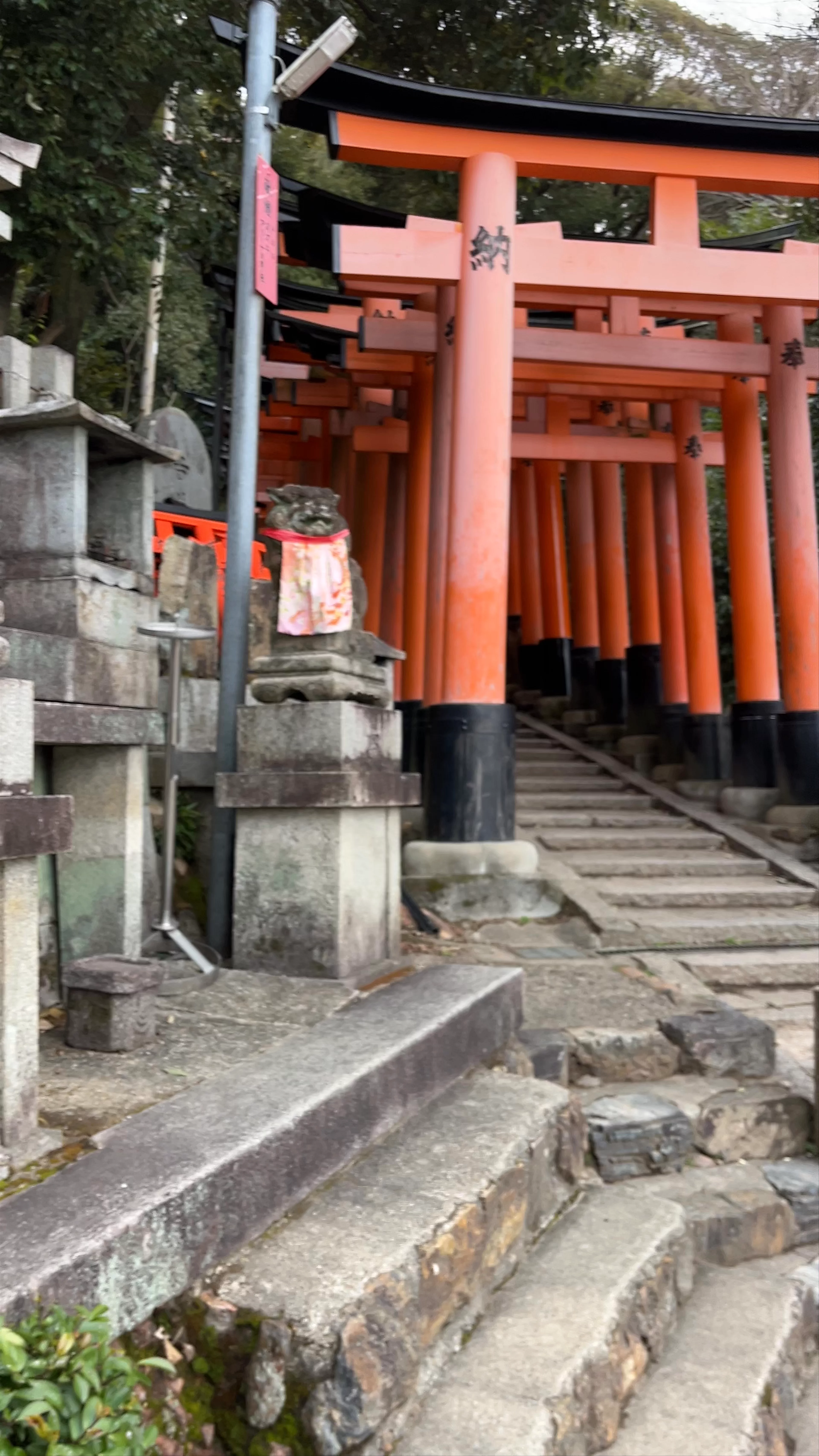 Mt. Inari Crossroads Observatory