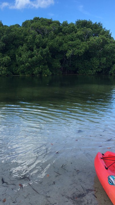 Paradise Adventures - Rafting/Kayaking Near Me - Sarasota, Florida