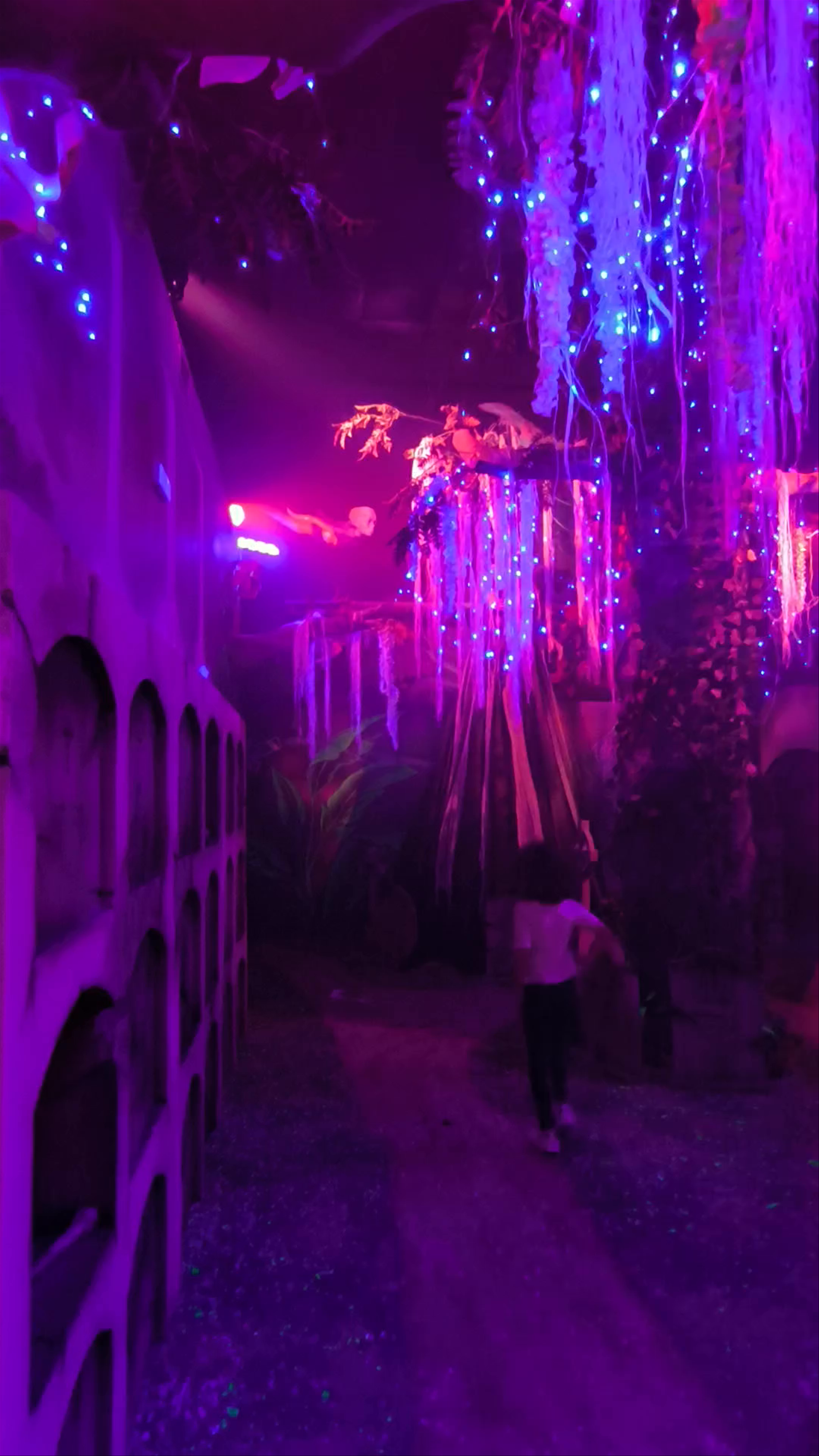 Aura Museum
