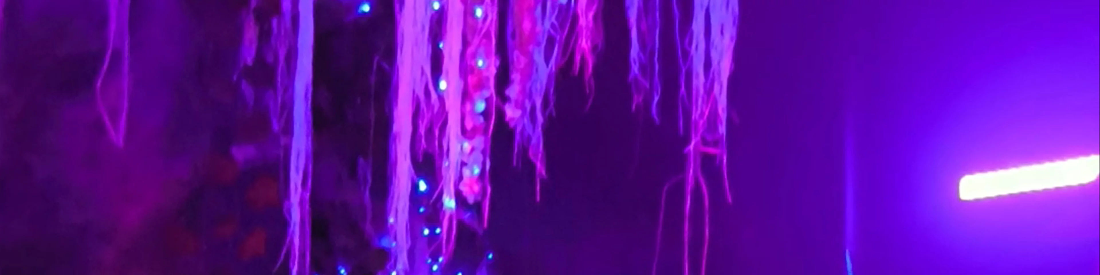 Aura Museum