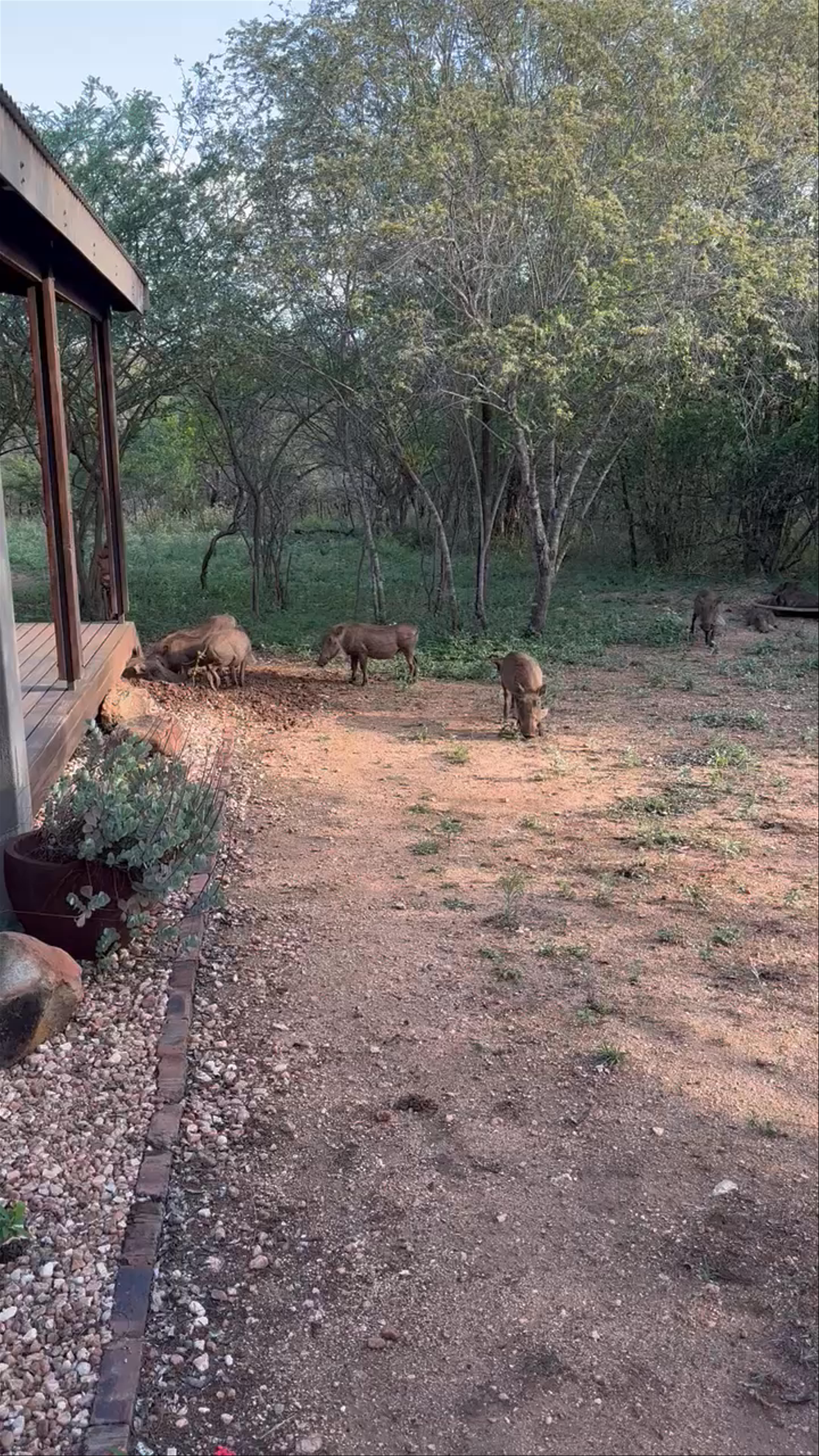 Kruger National Park