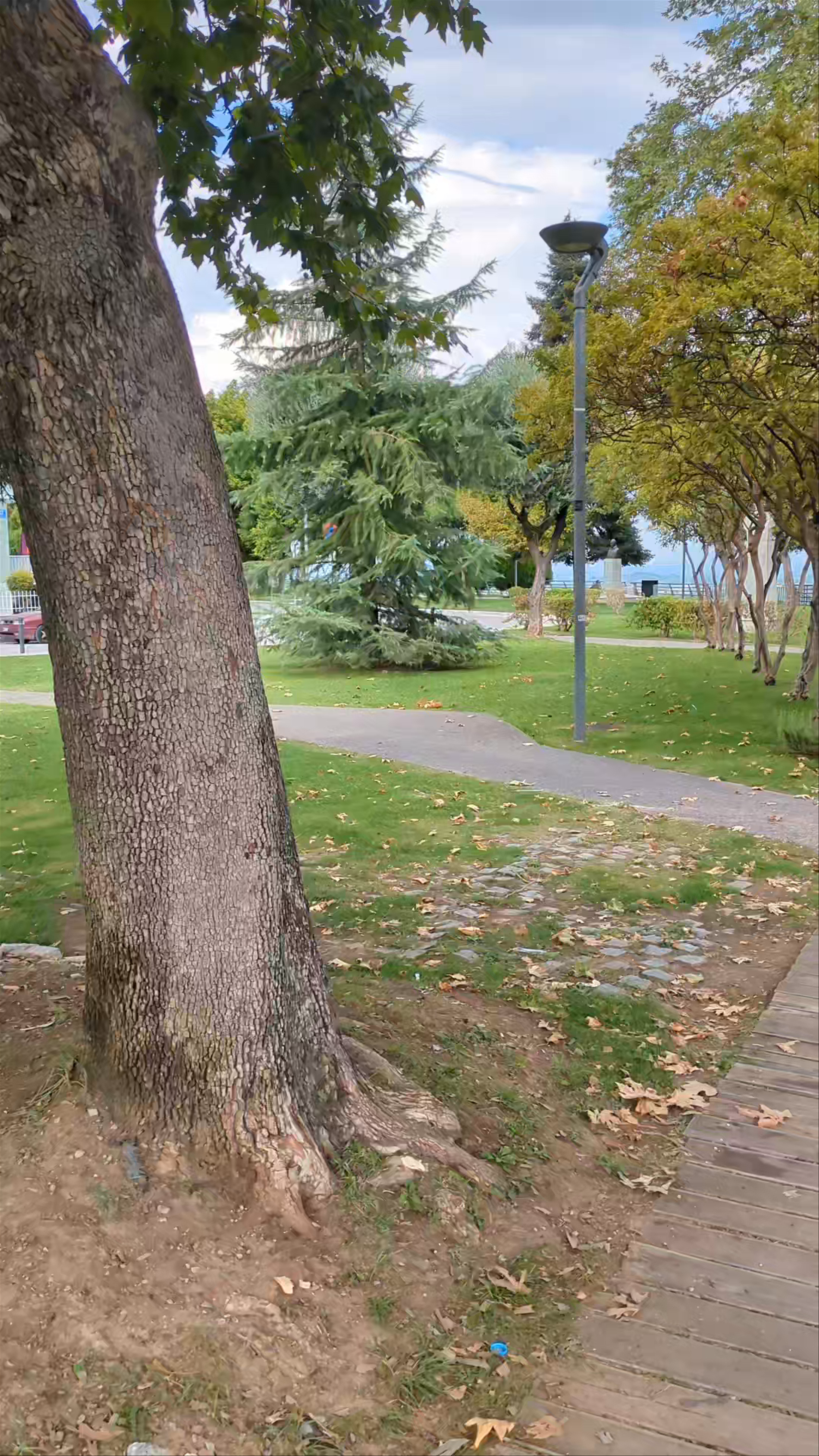 Elia (Olive) Park