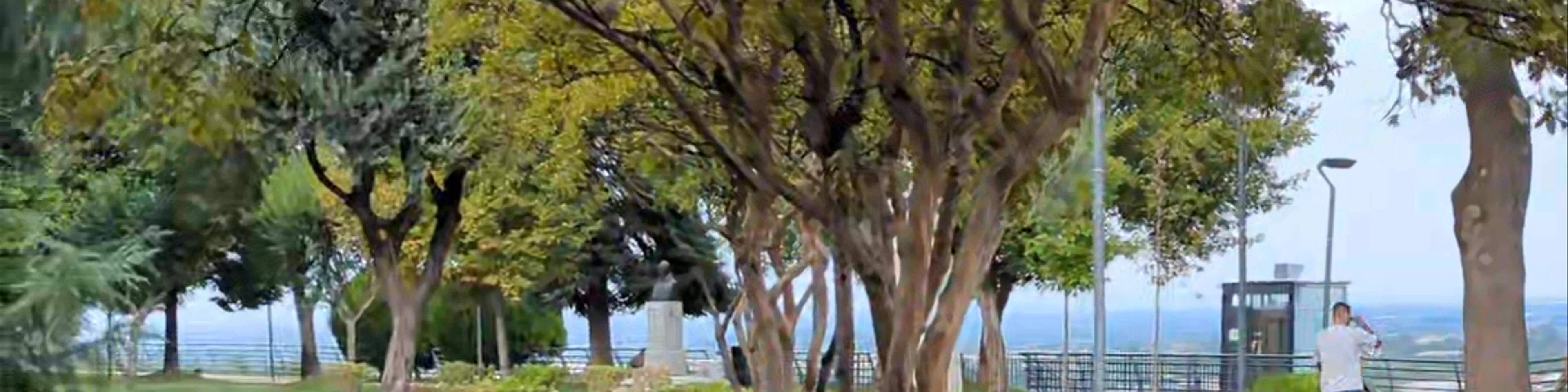 Elia (Olive) Park