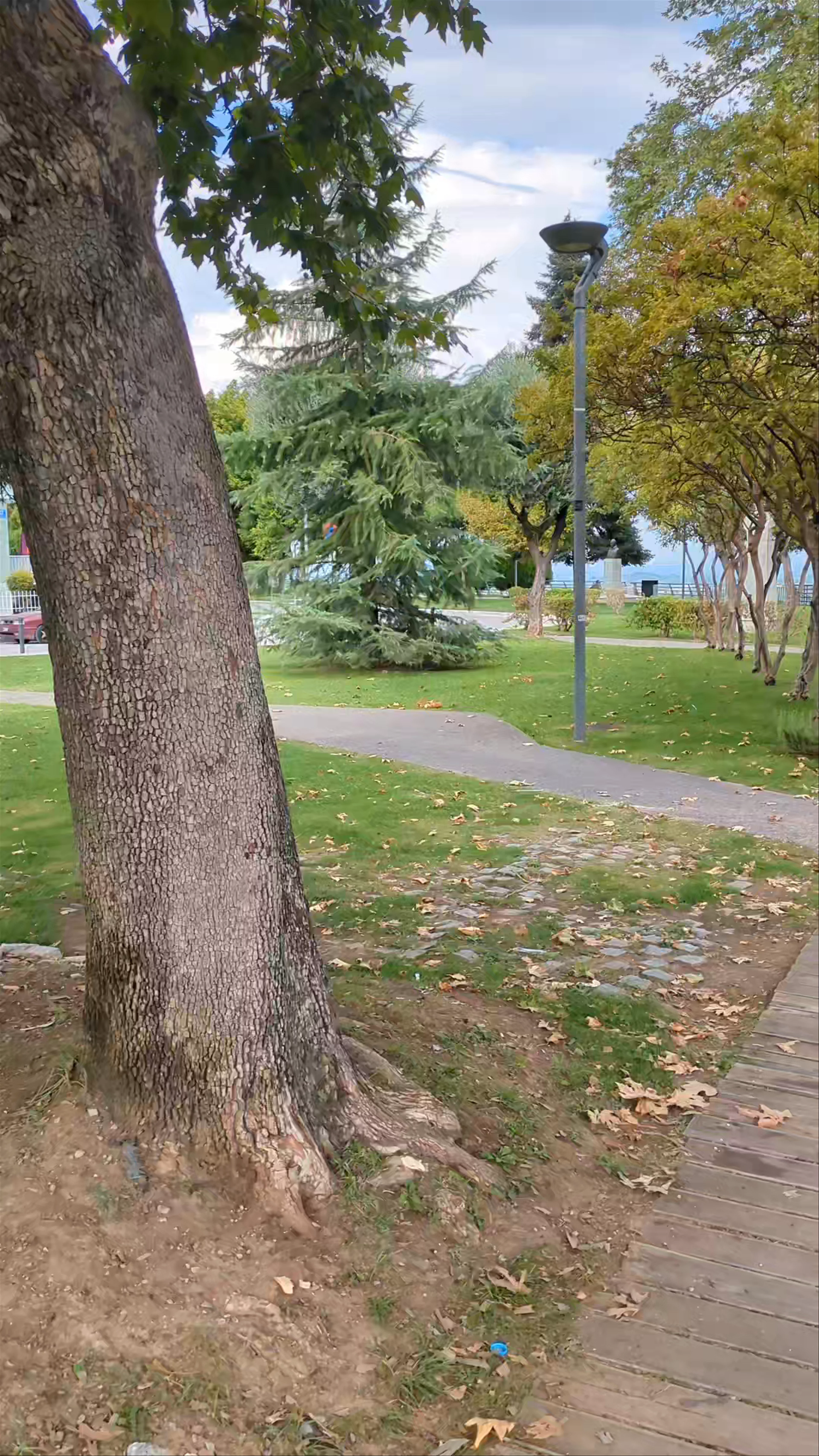 Elia (Olive) Park