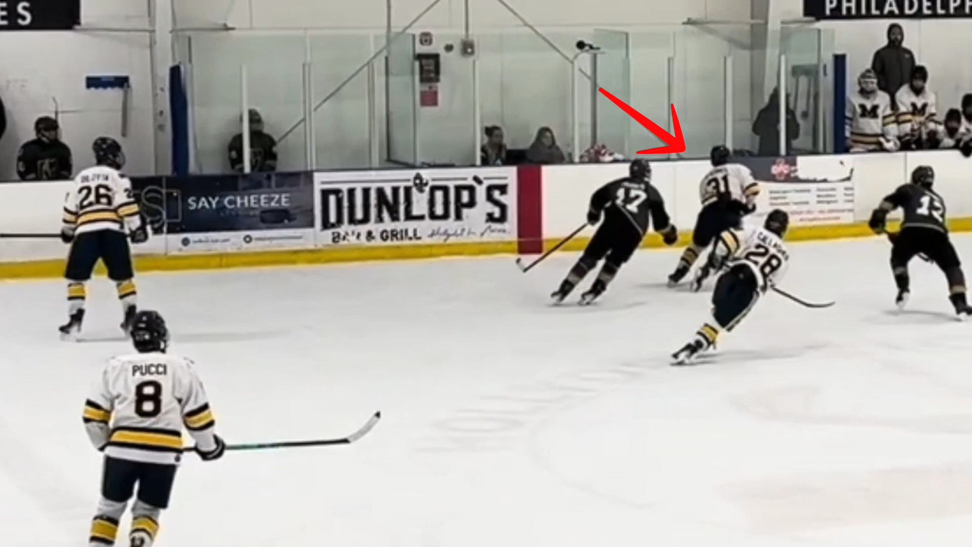 Reese Steimel's Dominant Highlights: Big Hits & Goal vs Vegas