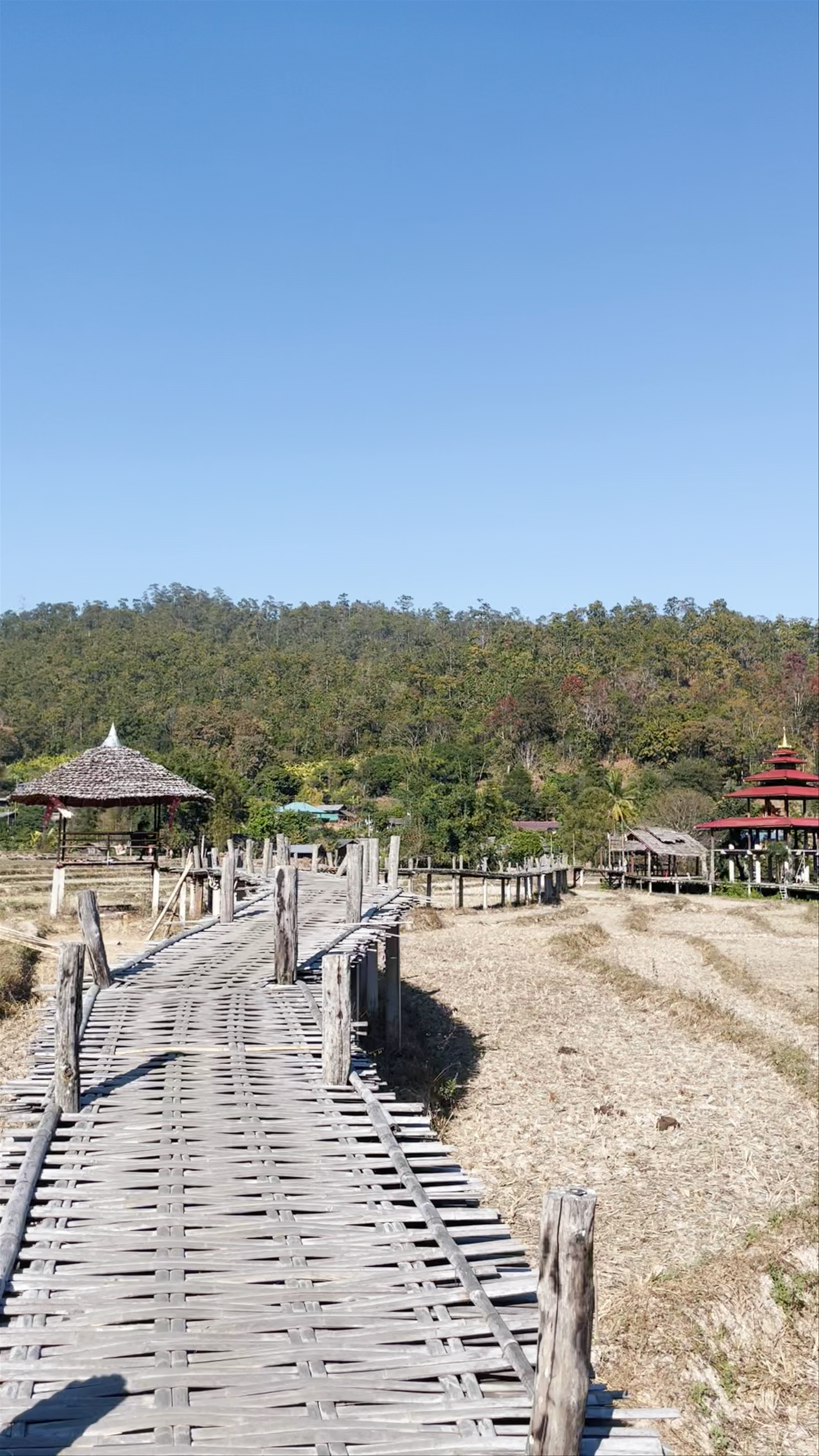 Bamboo Bridge Pai