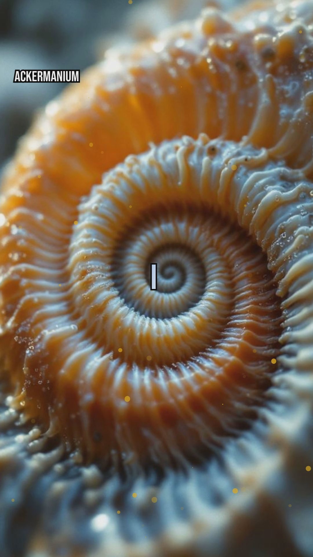 The Science of Mathematics: How Numbers Shape Our World