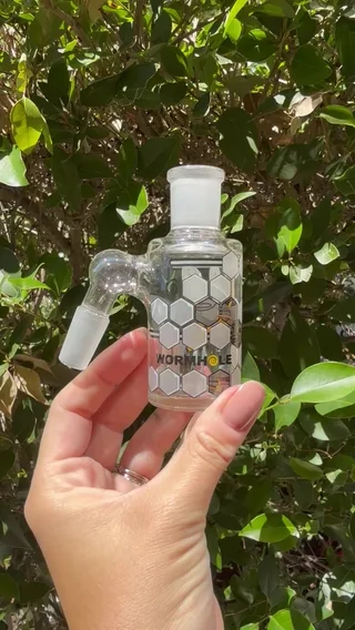 Preview pic of Wormhole Robotic Bee Ash Catcher
