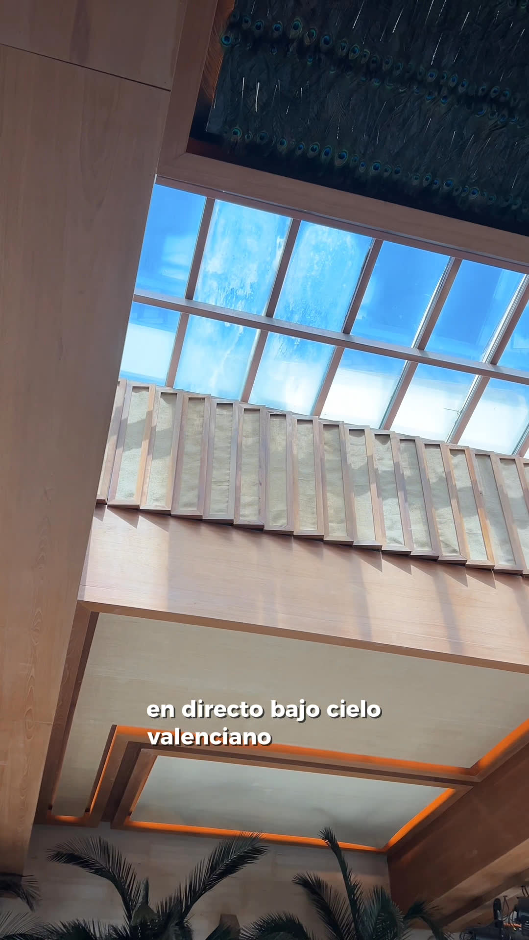 Vídeo UGC 1 de Alba