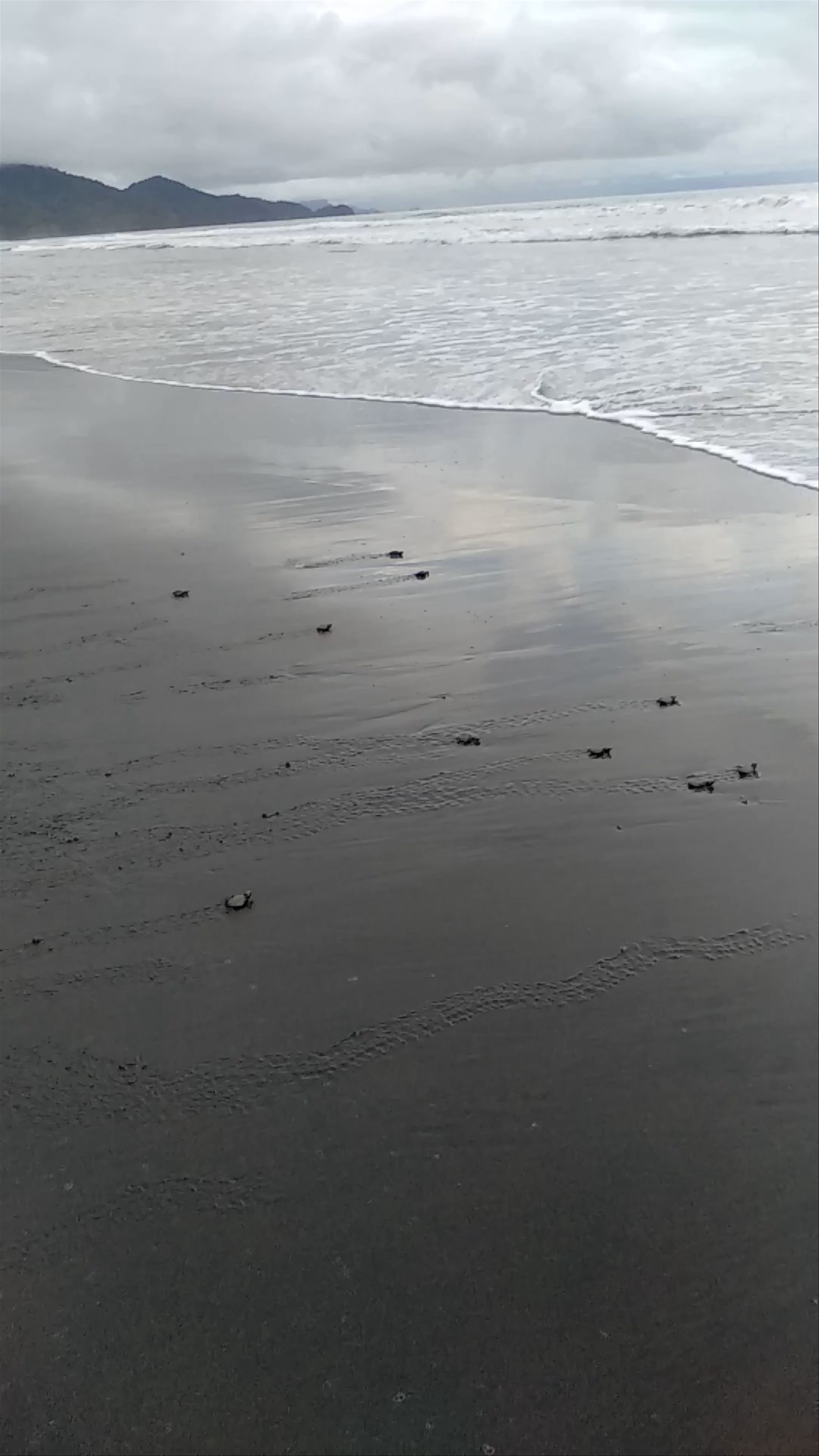 Mama Orbe Family Eco Farm