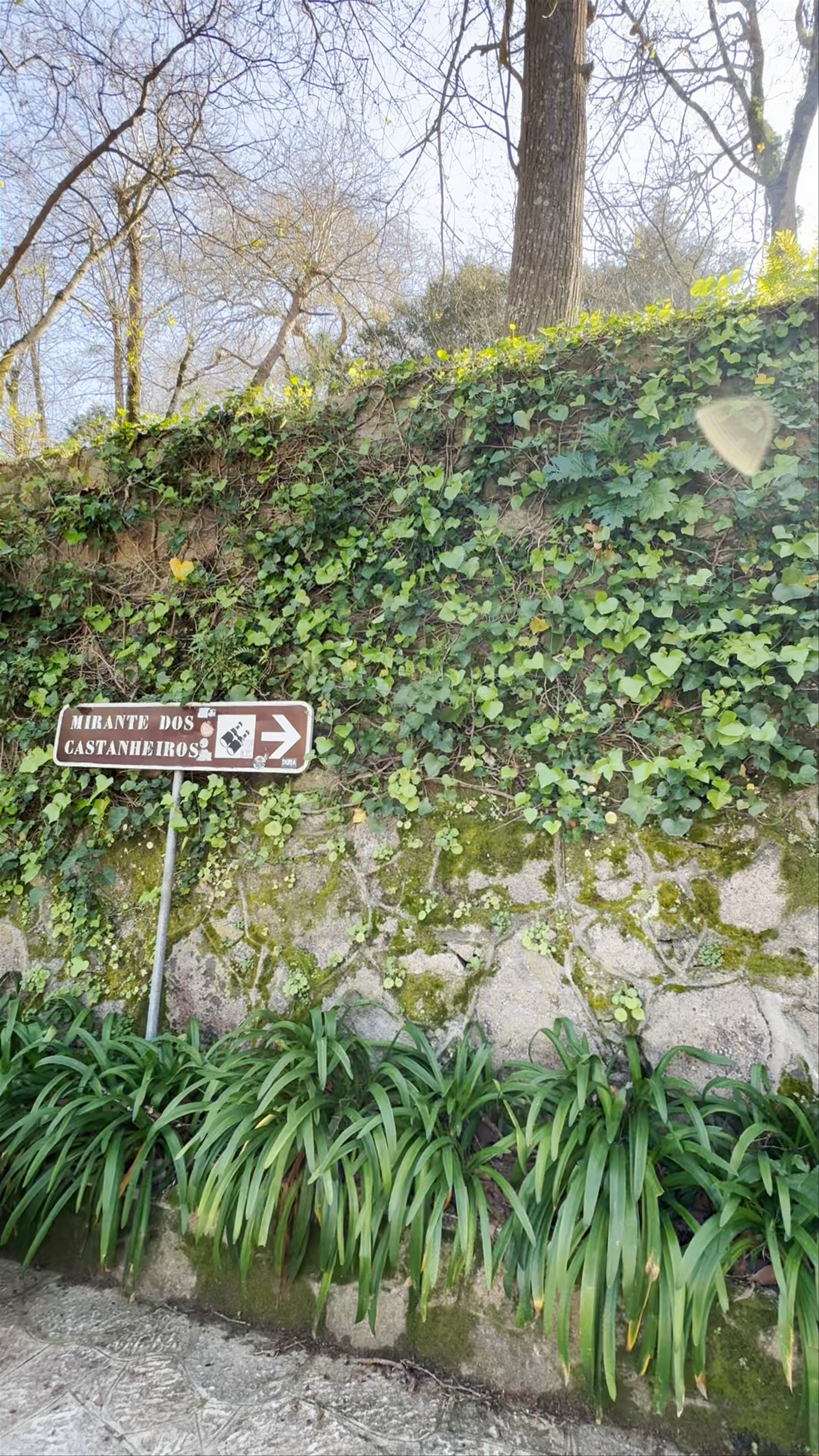 Parque dos Castanheiros