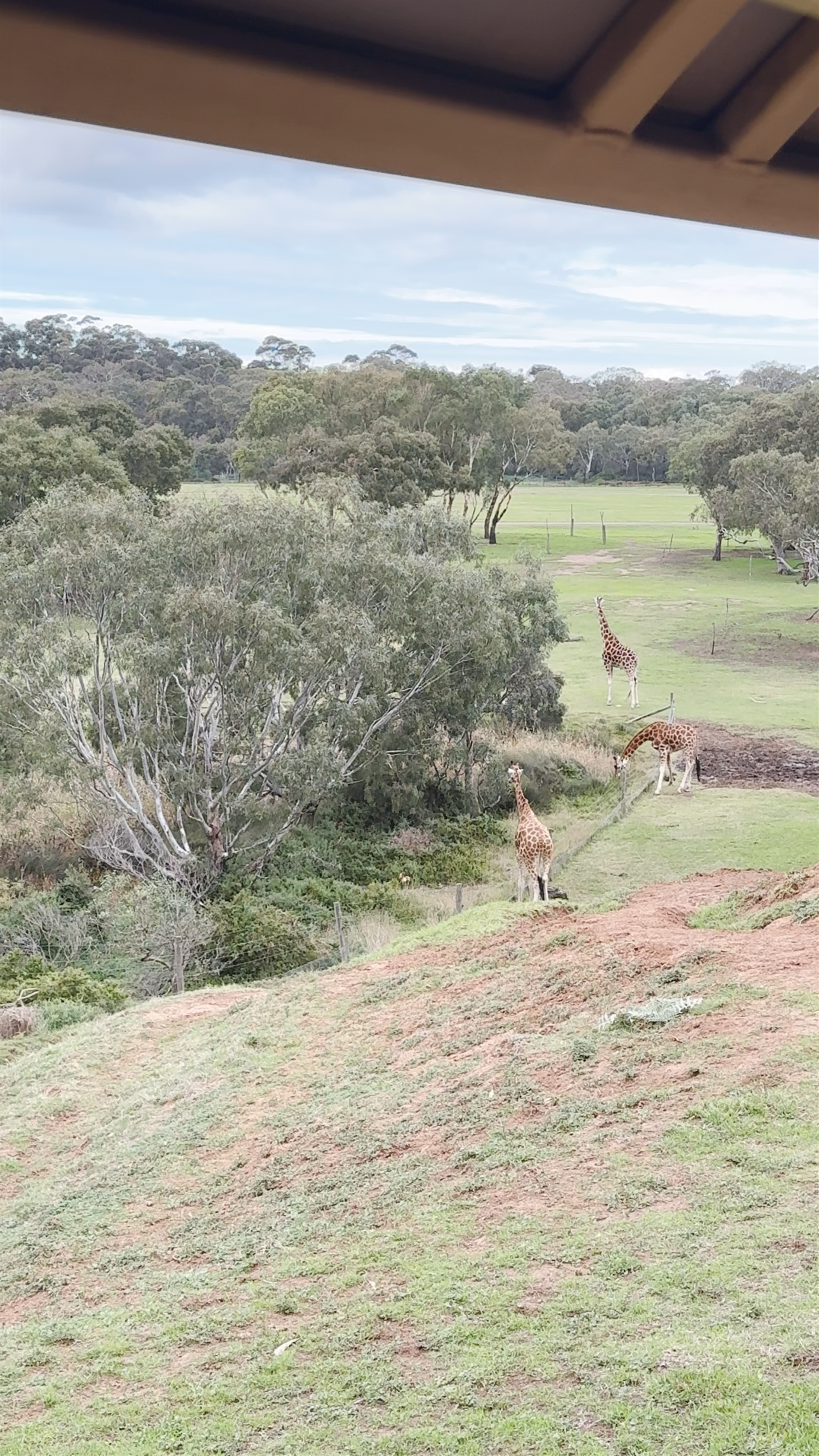 Werribee Open Range Zoo