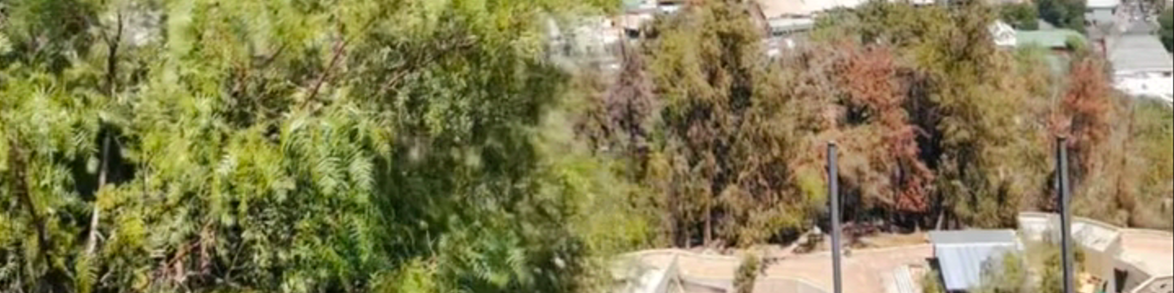 Santiago Metropolitan