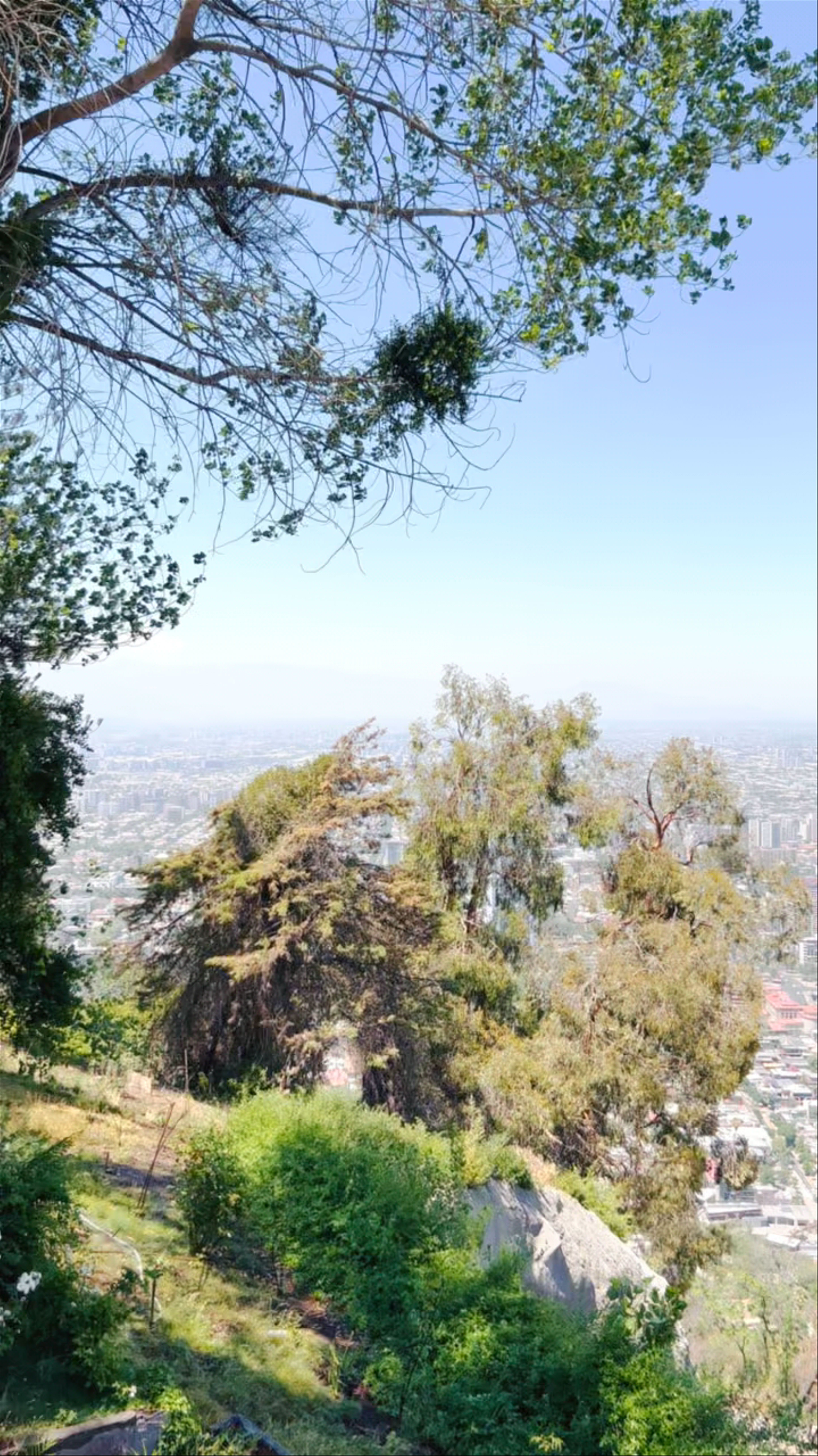 Cerro San Cristóbal
