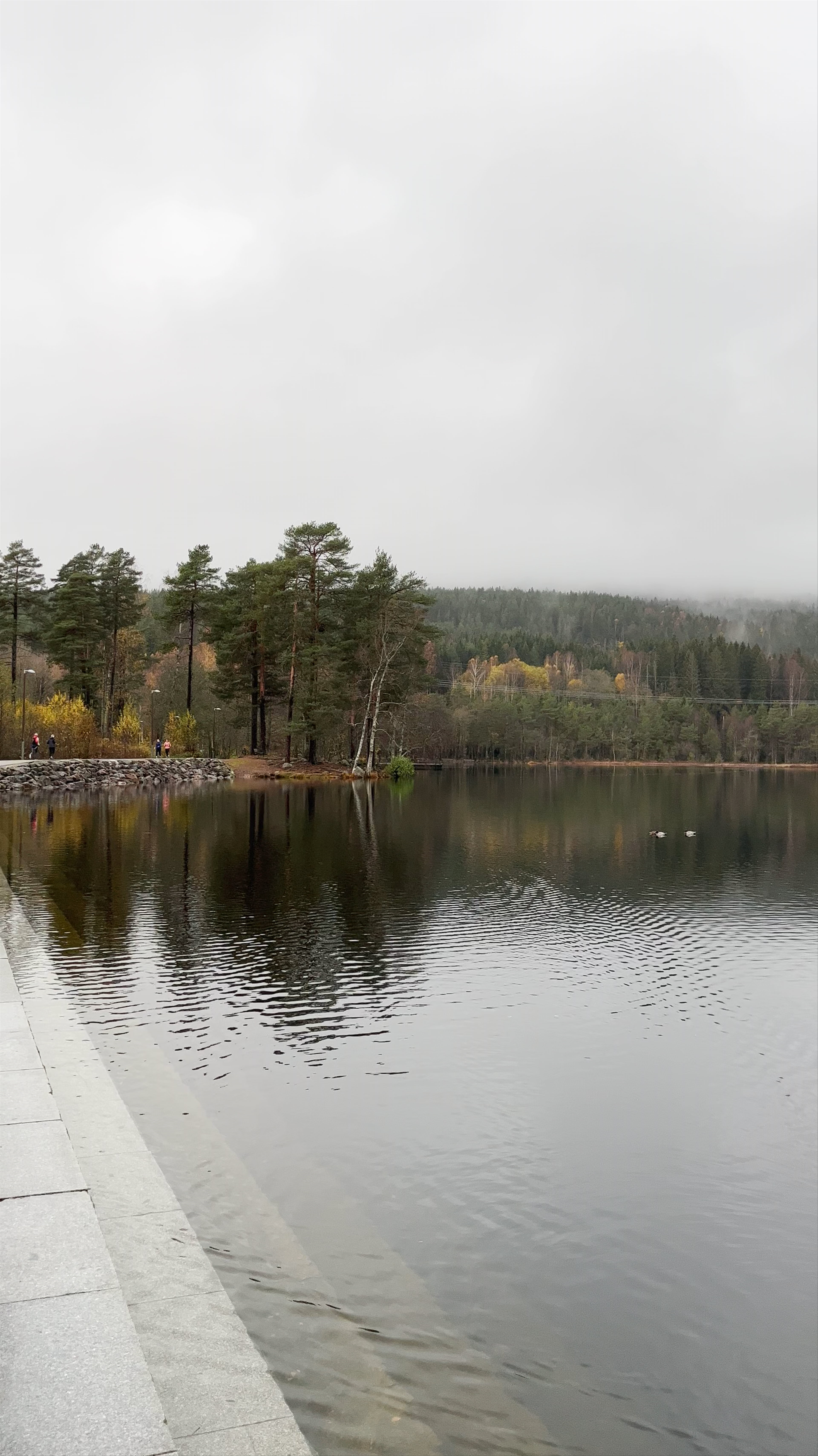 Sognsvann