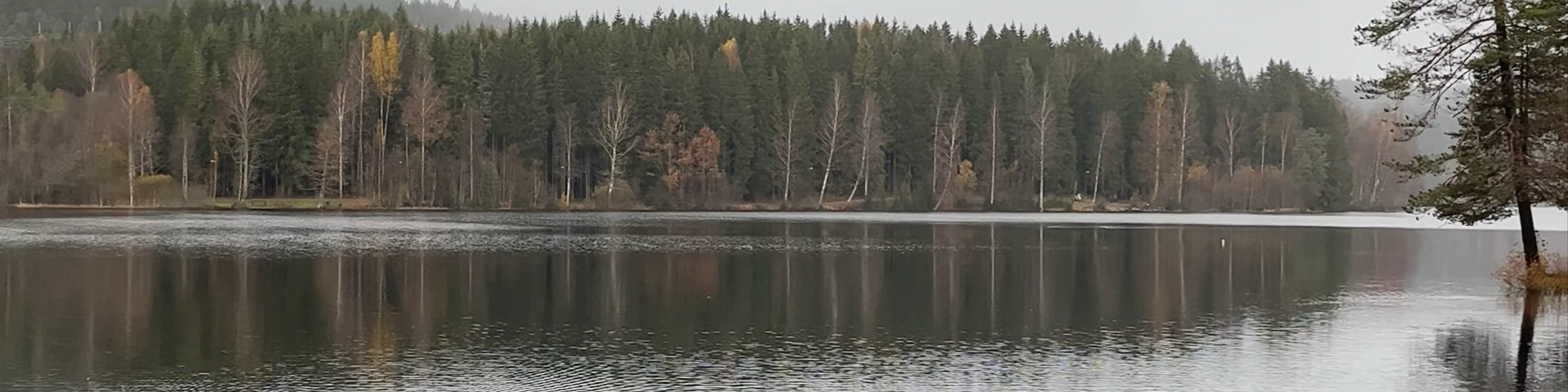 Sognsvann